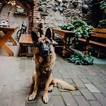 Отель Krumlovska Pohadka