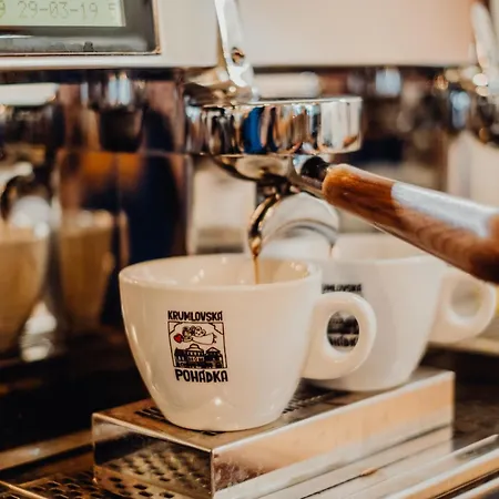 크룸로프스카 포하트카 5* 체스키크룸로프