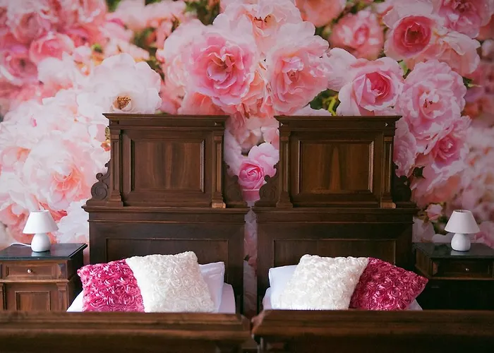 克鲁姆洛夫斯卡博达卡酒店